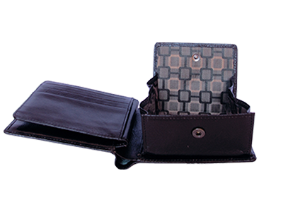 subPic1